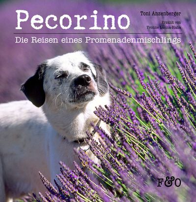 Pecorino: Die Reisen eines Promenadenmischlings. Ein Buch von Toni Anzenberger und Yvonne Lacina-Blaha